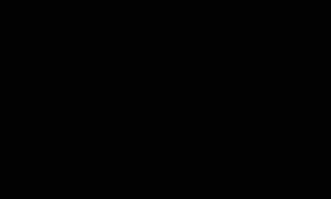Wsdcamp.com thumbnail