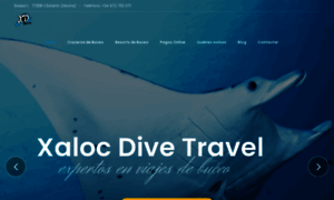 Xalocdivetravel.com thumbnail