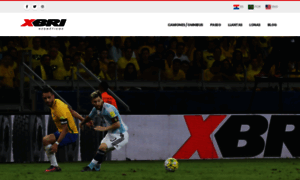 Xbripneus.com.br thumbnail