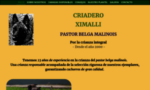 Ximalli.com thumbnail
