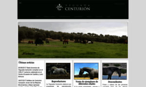 Yeguadacenturion.com thumbnail