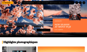 Yellowkorner.com thumbnail