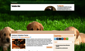Yorkshiremini.com.ar thumbnail