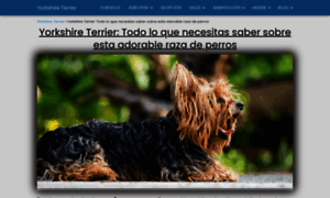 Yorkshireterrier.name thumbnail