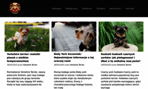 Yorkshireterrier.pl thumbnail