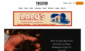 Yucatanmagazine.com thumbnail