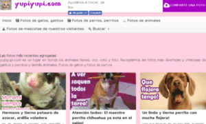 Yupiyupi.com thumbnail