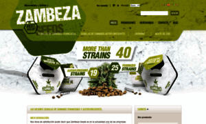 Zambeza.es thumbnail