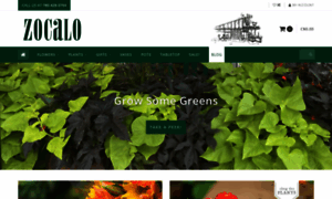 Zocalo.ca thumbnail