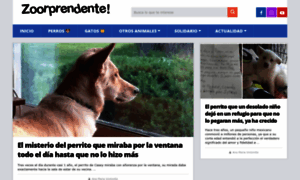 Zoorprendente.com thumbnail