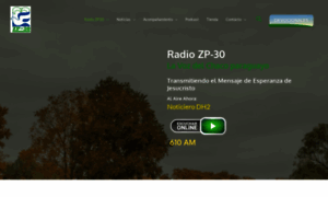 Zp30.com.py thumbnail