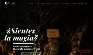 Zuasti.com thumbnail