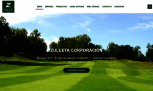 Zulueta.com thumbnail