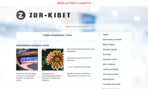 Zur-kibet.ru thumbnail